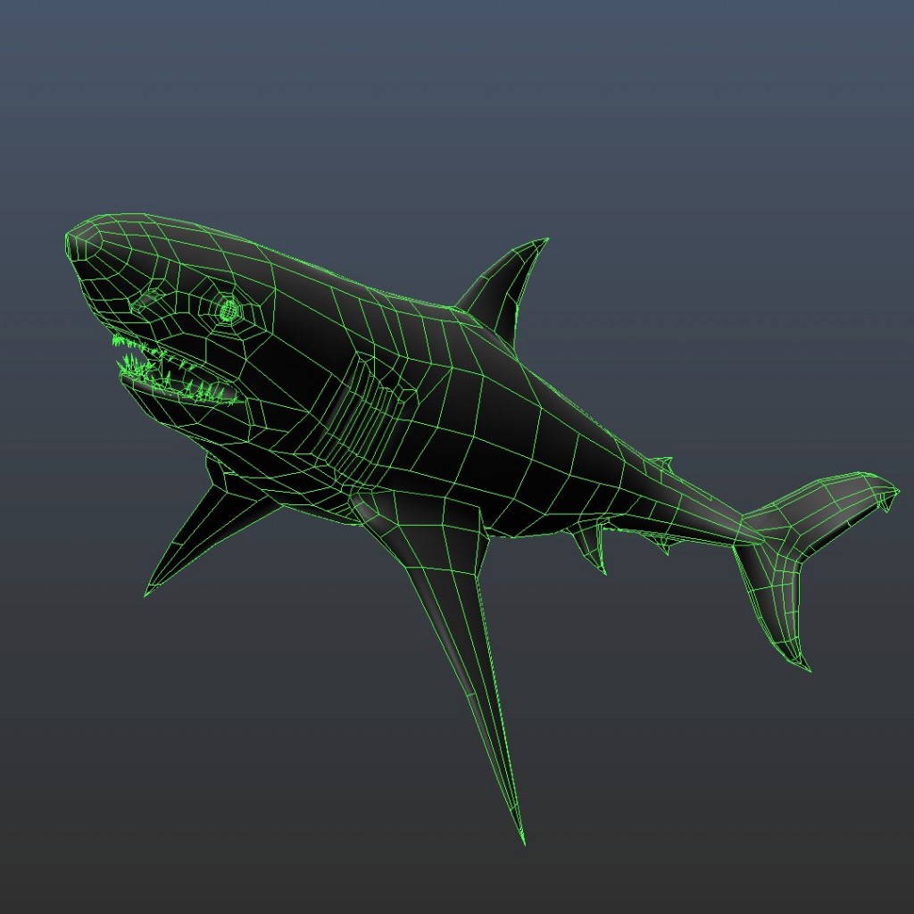 Rigged Bull Shark preview image 3